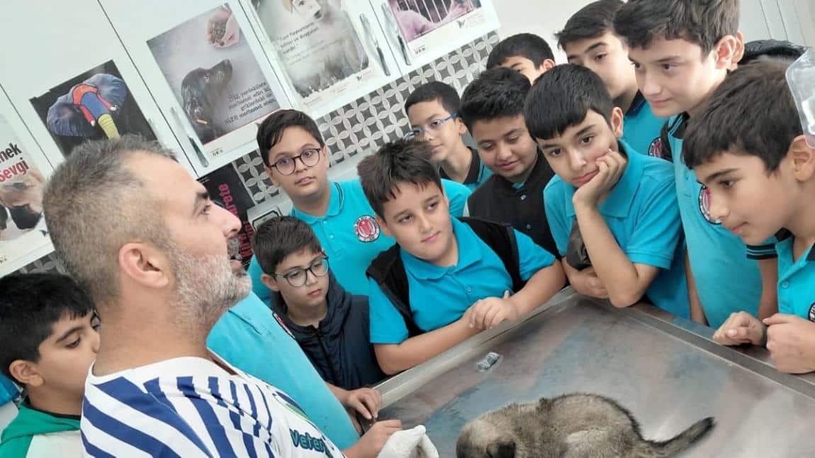 4 Ekim Hayvanları Koruma Günü etkinliği gerçekleştirildi.